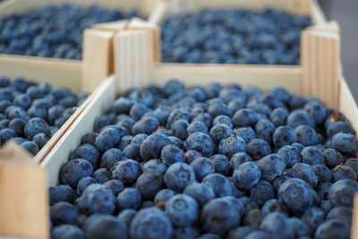 High angle view of fruits in container