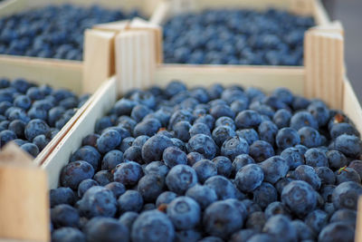 Close-up of blackberries in container