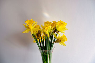 Close-up of yellow flower vase against white background