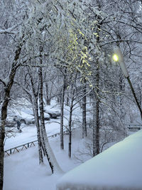 Snow covered trees against sky