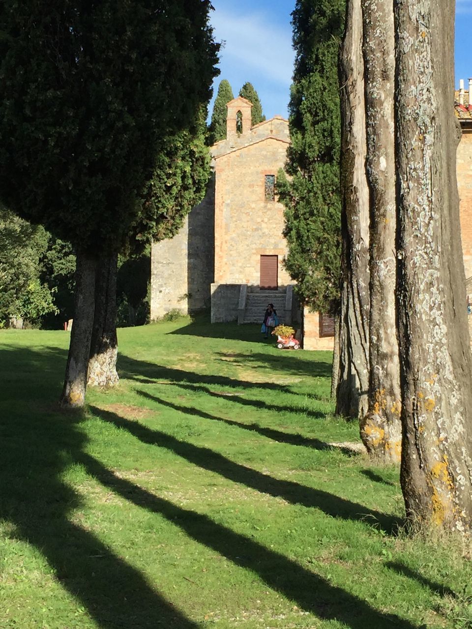 TREES AND PLANTS ON BUILDING