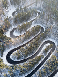 High angle view of road amidst trees