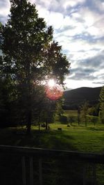 Scenic view of grassy field against sky