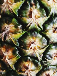 Full frame shot of fruits