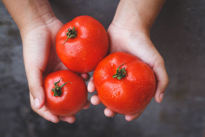Cropped hands holding tomatoes
