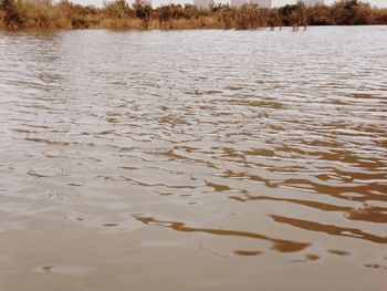 View of calm lake