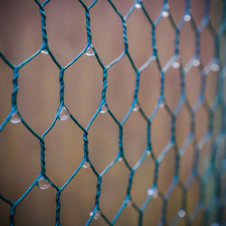 Close-up view of green net