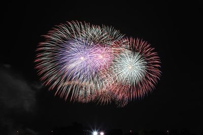 Low angle view of firework display at night