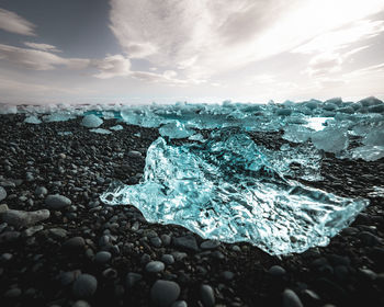 Iceland  ice on the glass beach