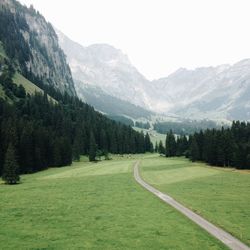Country road leading towards mountains