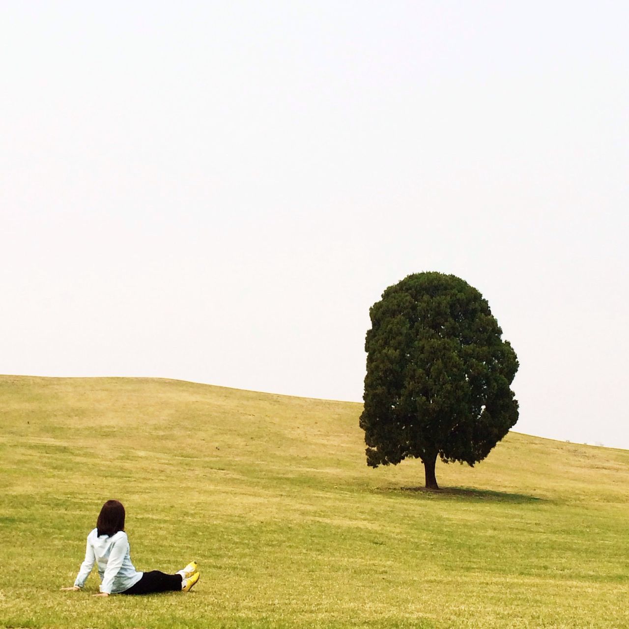 lifestyles, grass, men, leisure activity, landscape, field, clear sky, copy space, rear view, person, tranquility, tree, full length, tranquil scene, nature, standing, grassy