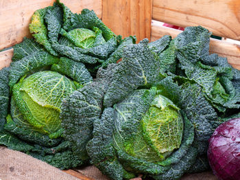 High angle view of vegetables