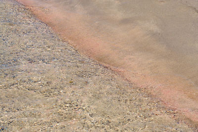 Full frame shot of sand dune