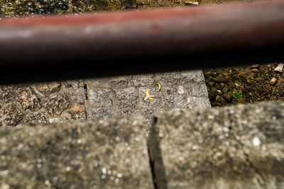 Close-up of metal railing