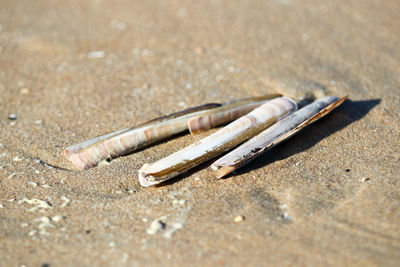 High angle view of text on sand at beach