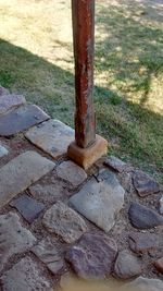 Surface level of tree trunk on field