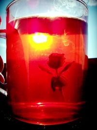 Close-up of red wine on glass