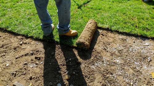 Low section of person standing on field