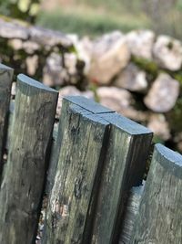 Close-up of wooden fence against trees