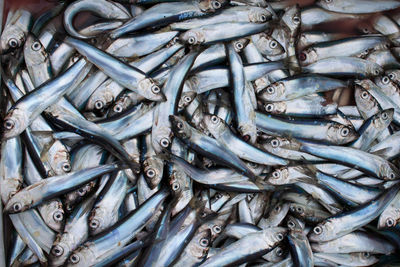 Full frame shot of fish in market