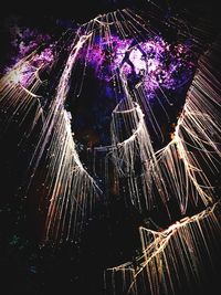 Low angle view of illuminated fireworks against sky at night