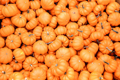 Full frame shot of pumpkins for sale at market stall