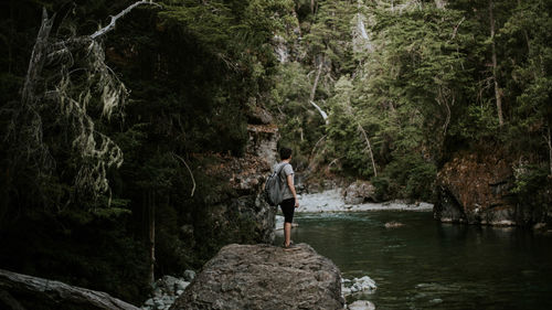 Rear view of man looking at waterfall in forest