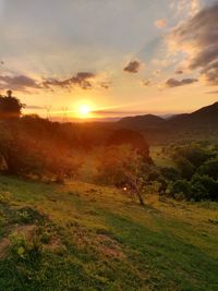 Scenic view of field against sky during sunset