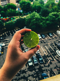 Cropped image of hand holding green lime