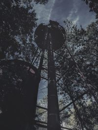 Low angle view of trees in forest against sky