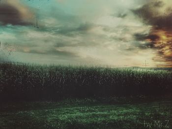 Scenic view of field against sky