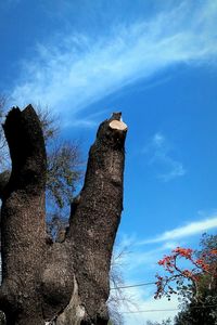 Low angle view of built structure against blue sky