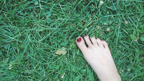 Low section of human feet on field