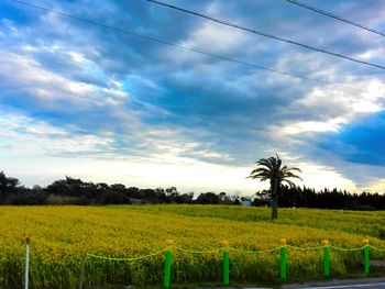 Scenic view of field against cloudy sky