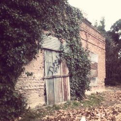 Closed wooden door of house