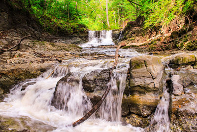 Scenic view of waterfall in forest