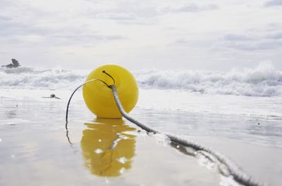 Yellow leaf floating on water