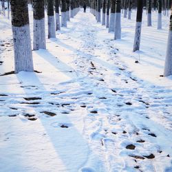 Scenic view of snow covered land