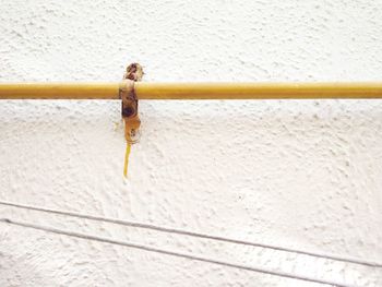 Gas pipe on a white wall