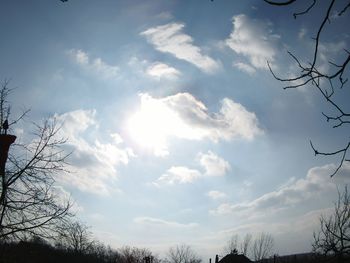 Low angle view of trees against sky