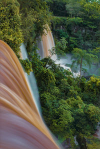 High angle view of trees by plants