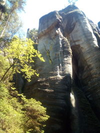 Low angle view of rock formation in forest against sky