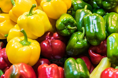 Sweet bell peppers red green and yellow