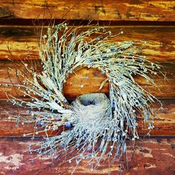 Close-up of bird perching on wood