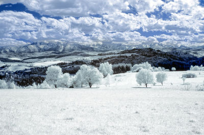 snow
