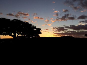 Silhouette trees on landscape against sky at sunset