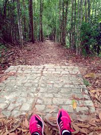 Low section of people walking on footpath in forest