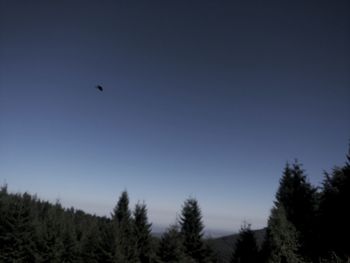 Low angle view of silhouette birds flying in sky