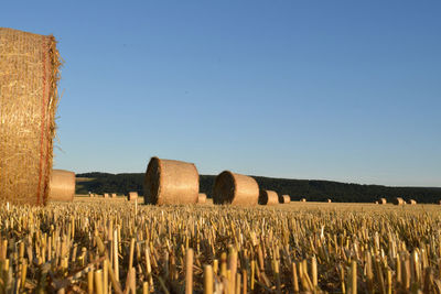 Hay bales on field against clear blue sky