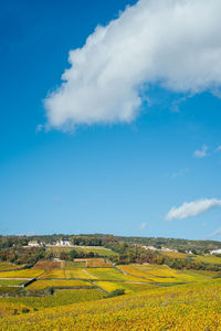 Scenic view of agricultural field against sky